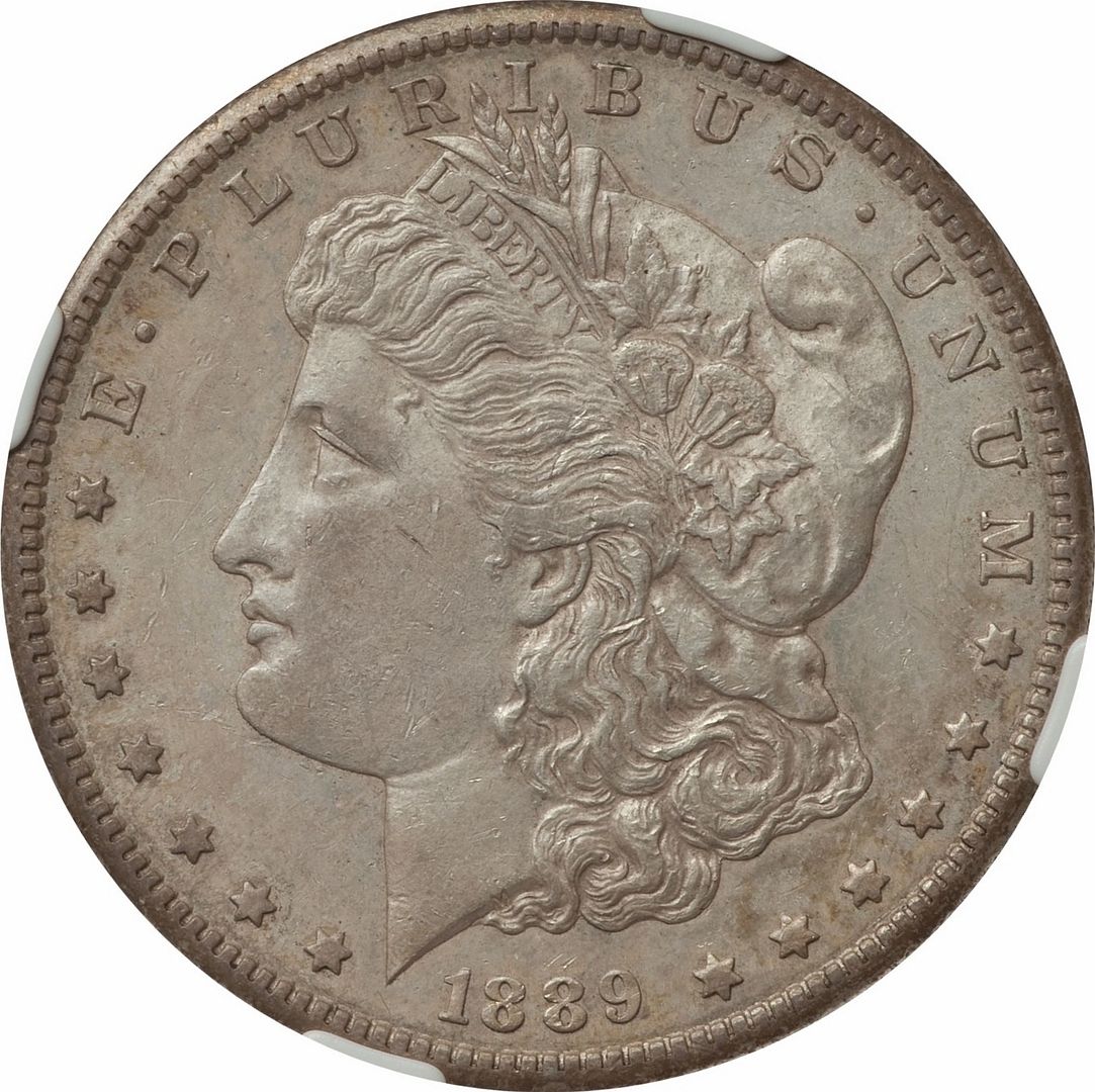 New Purchase 1889S Dollar Original Surfaces — Collectors